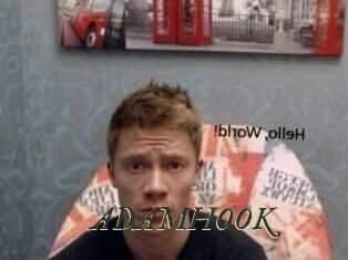 ADAM_HOOK