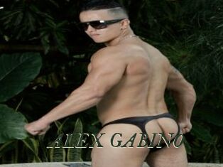 ALEX_GABINO