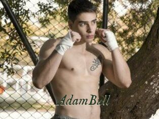 AdamBull
