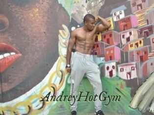 AndreyHotGym