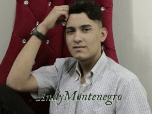 AndyMontenegro