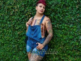 AndyPulido