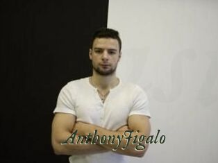 AnthonyJigalo