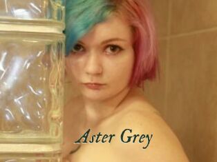 Aster_Grey