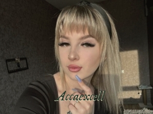 Accaexcell