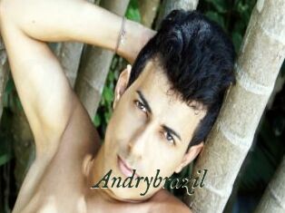 Andrybrazil