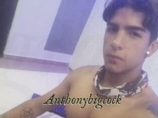 Anthonybigcock