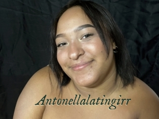 Antonellalatingirr