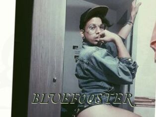 BLUEFOOSTER