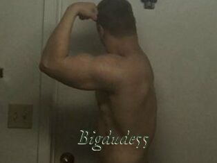Bigdude55