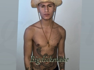 bigdicksnake Gratis Strip