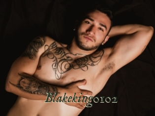 Blakeking0102