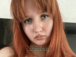 Breebuss