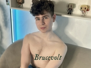 Brucevolt