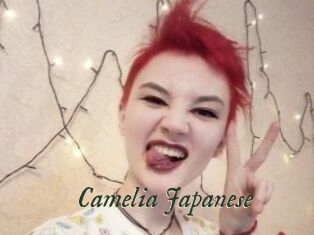 Camelia_Japanese