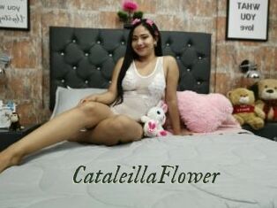 CataleillaFlower