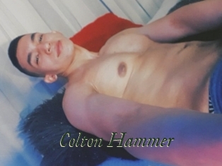 Colton_Hammer