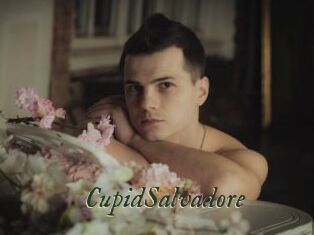 CupidSalvadore