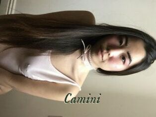 Camini