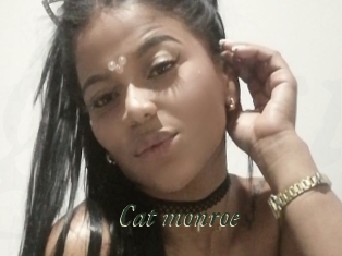 Cat_monroe