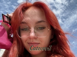 Catecovil