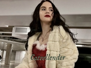 Cateellender