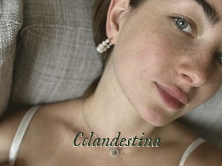 Cclandestina