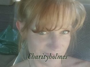 Charityholmes