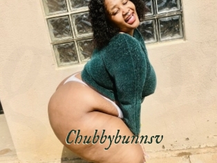 Chubbybunnsv