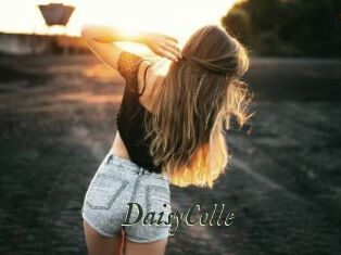 DaisyColle