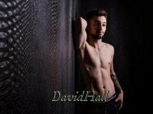 DavidHall