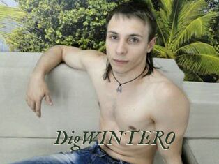 DigWINTERO