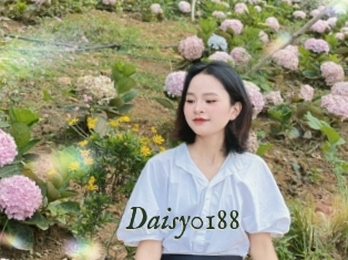 Daisy0188