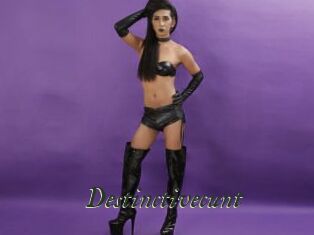 Destinctivecunt