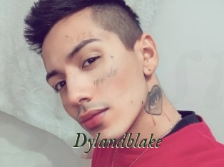 Dylandblake