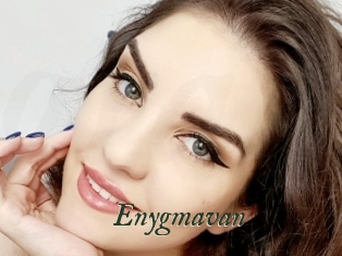 Enygmavan