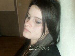 Exhib93