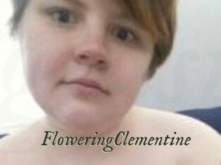 FloweringClementine