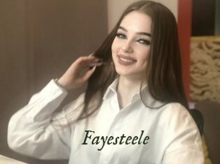 Fayesteele