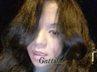 Gattina