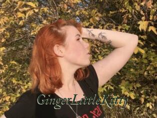 GingerLittleKitty
