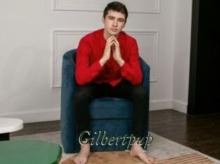 Gilbertpup