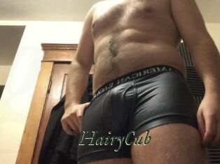 HairyCub