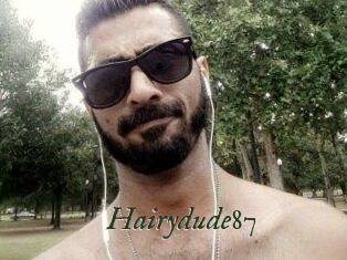 Hairydude87