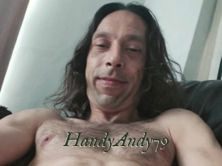 HandyAndy79