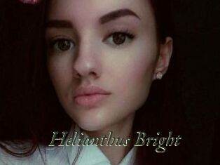 Helianthus_Bright