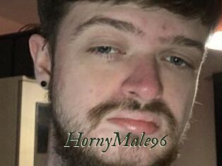 HornyMale96