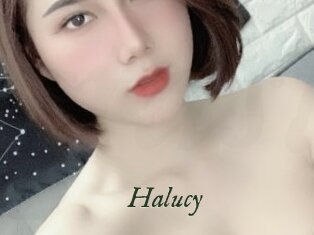 Halucy