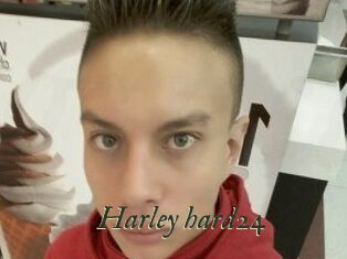 Harley_hard24