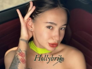 Hollybrik